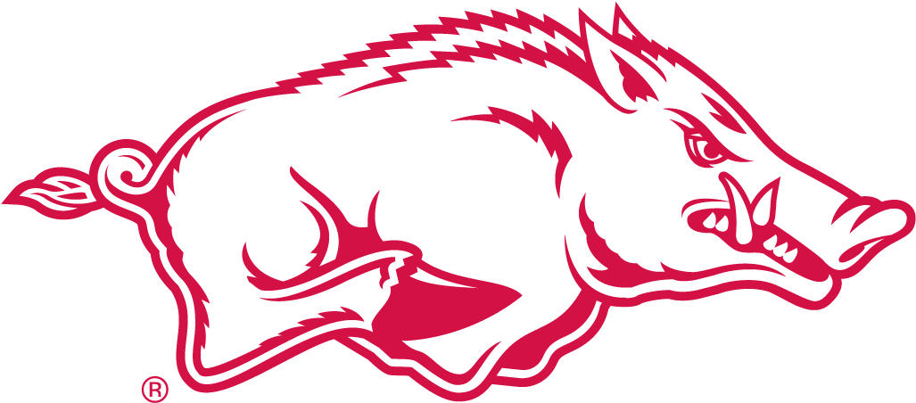 Arkansas Razorbacks 2001-Pres Alternate Logo v4 diy fabric transfer